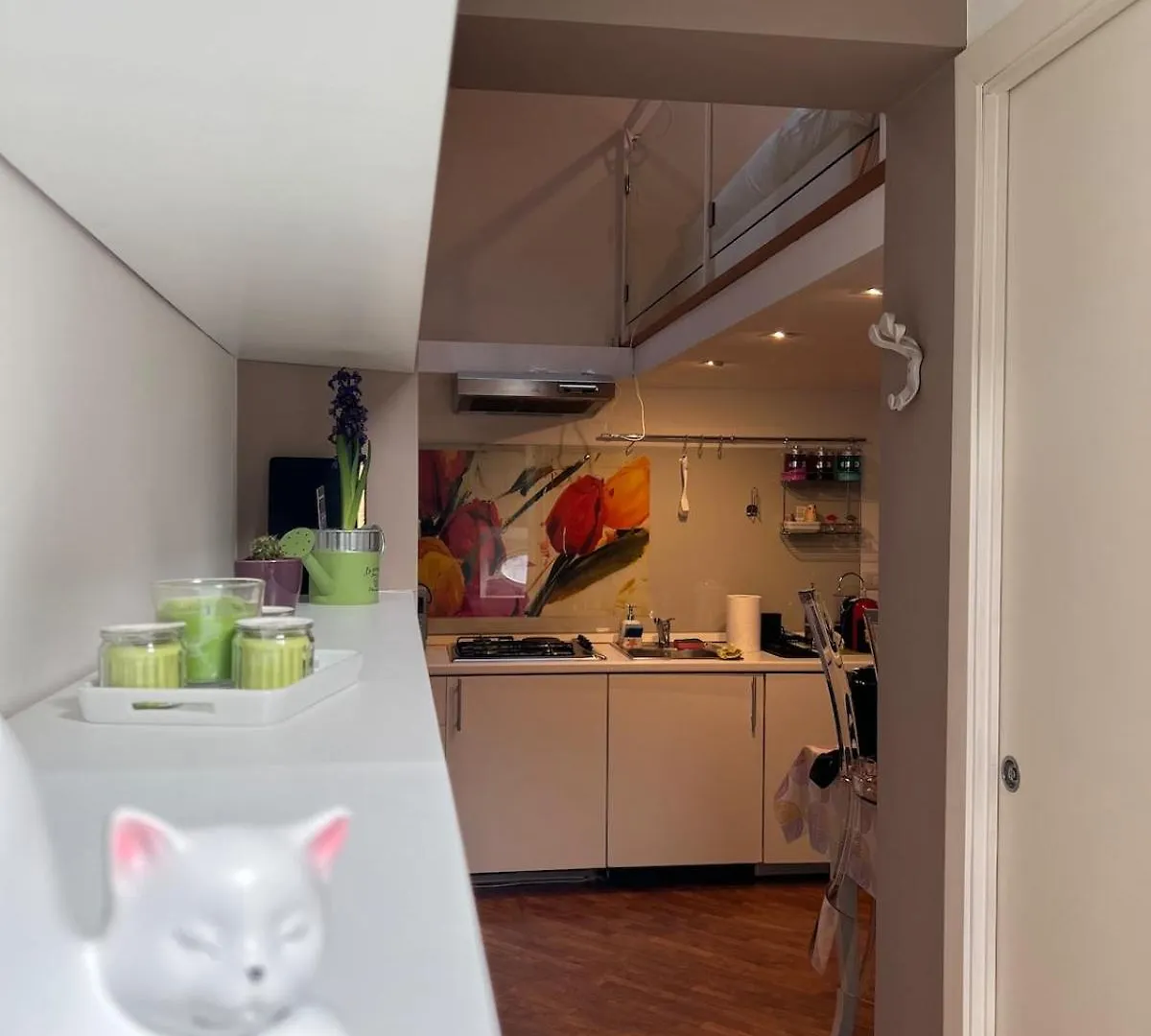 La Gatta Sul Tetto Apartment Catania 0*,